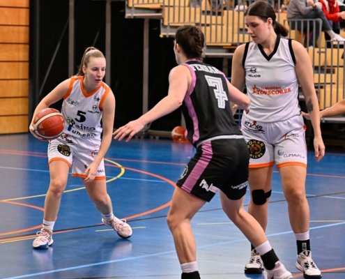 2024-02-04_Baden_MLO4306